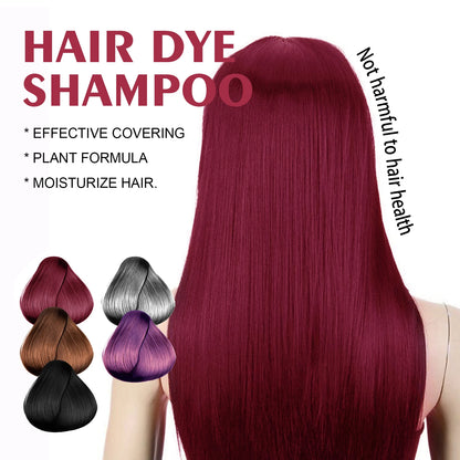 Hair dye shampoo