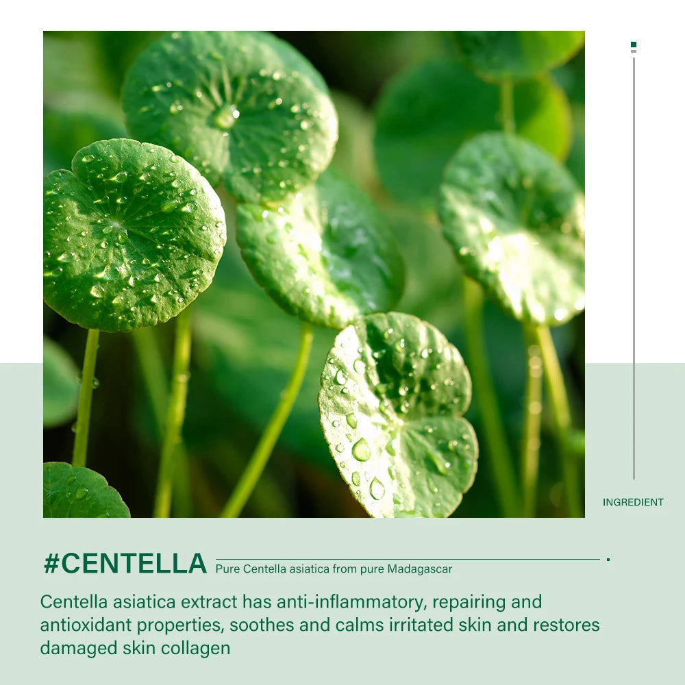 Centella Skin Care Set - Vivian